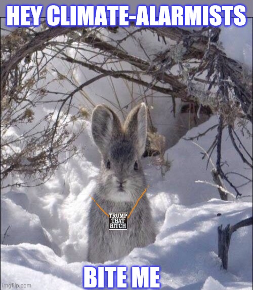 Climate Change is a Socialist Hoax | HEY CLIMATE-ALARMISTS; BITE ME | image tagged in communist socialist,hoax,new world order,bs,libtard,morons | made w/ Imgflip meme maker