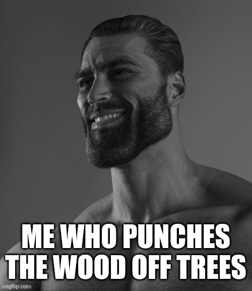 Giga Chad | ME WHO PUNCHES
THE WOOD OFF TREES | image tagged in giga chad | made w/ Imgflip meme maker