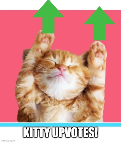 KITTY UPVOTES! | made w/ Imgflip meme maker