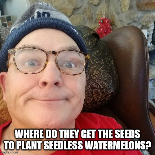 Seedless Watermelons | WHERE DO THEY GET THE SEEDS TO PLANT SEEDLESS WATERMELONS? | image tagged in durl earl | made w/ Imgflip meme maker