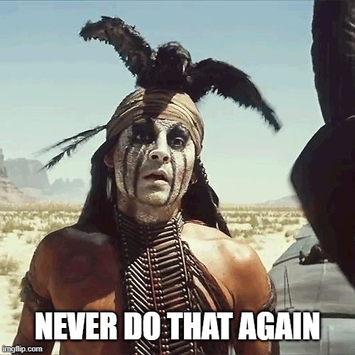 depp - Tonto | NEVER DO THAT AGAIN | image tagged in depp - tonto | made w/ Imgflip meme maker