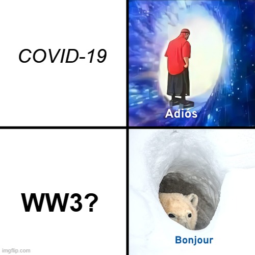 2022 in an nutshell | COVID-19; WW3? | image tagged in adios bonjour | made w/ Imgflip meme maker