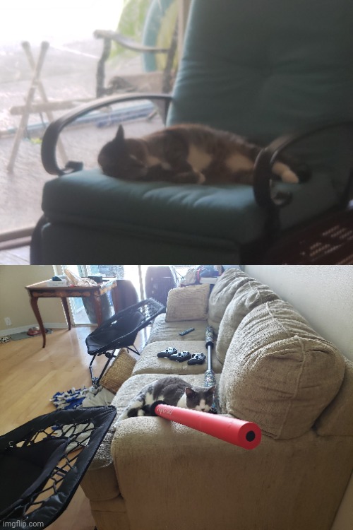 Photos of my cats | made w/ Imgflip meme maker