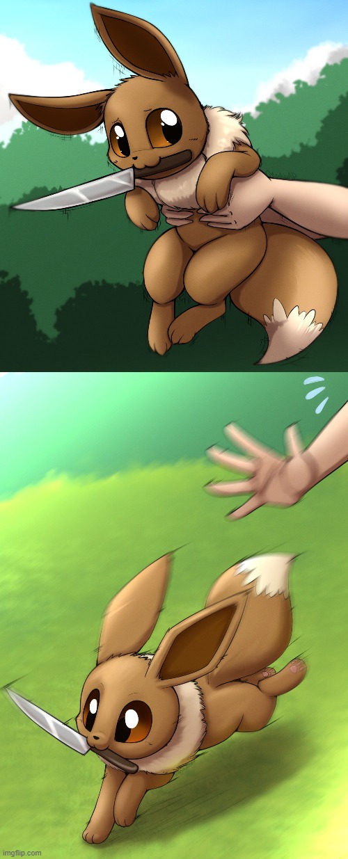 where da eevee get the knife from | image tagged in eevee | made w/ Imgflip meme maker