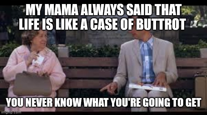 forrest gump box of chocolates | MY MAMA ALWAYS SAID THAT LIFE IS LIKE A CASE OF BUTTROT; YOU NEVER KNOW WHAT YOU'RE GOING TO GET | image tagged in forrest gump box of chocolates | made w/ Imgflip meme maker
