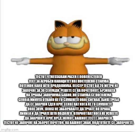 Garfield T-Pose | Leggings