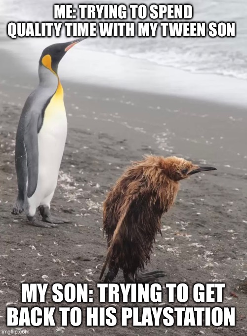 Spring Break | ME: TRYING TO SPEND QUALITY TIME WITH MY TWEEN SON; MY SON: TRYING TO GET BACK TO HIS PLAYSTATION | image tagged in parenting | made w/ Imgflip meme maker