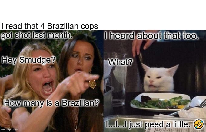 Woman Yelling At Cat | I read that 4 Brazilian cops
got shot last month. I heard about that too. Hey Smudge? What? How many is a Brazilian? I...I...I just peed a little. 🤣 | image tagged in memes,woman yelling at cat | made w/ Imgflip meme maker