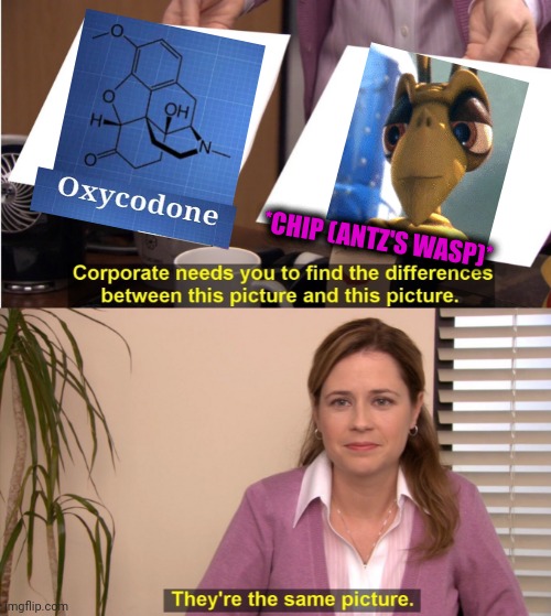 -Crazy eyes. | *CHIP (ANTZ'S WASP)* | image tagged in memes,they're the same picture,chemicals,don't do drugs,wasp,cartoon logic | made w/ Imgflip meme maker