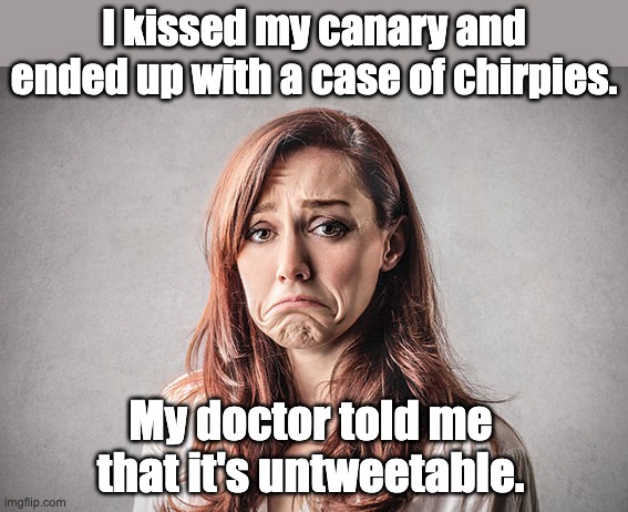Bird | I kissed my canary and ended up with a case of chirpies. My doctor told me that it's untweetable. | image tagged in sad woman | made w/ Imgflip meme maker