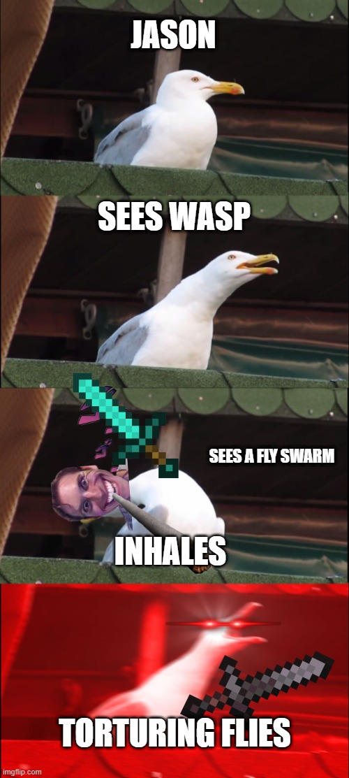 yes | JASON; SEES WASP; SEES A FLY SWARM; INHALES; TORTURING FLIES | image tagged in memes,inhaling seagull | made w/ Imgflip meme maker