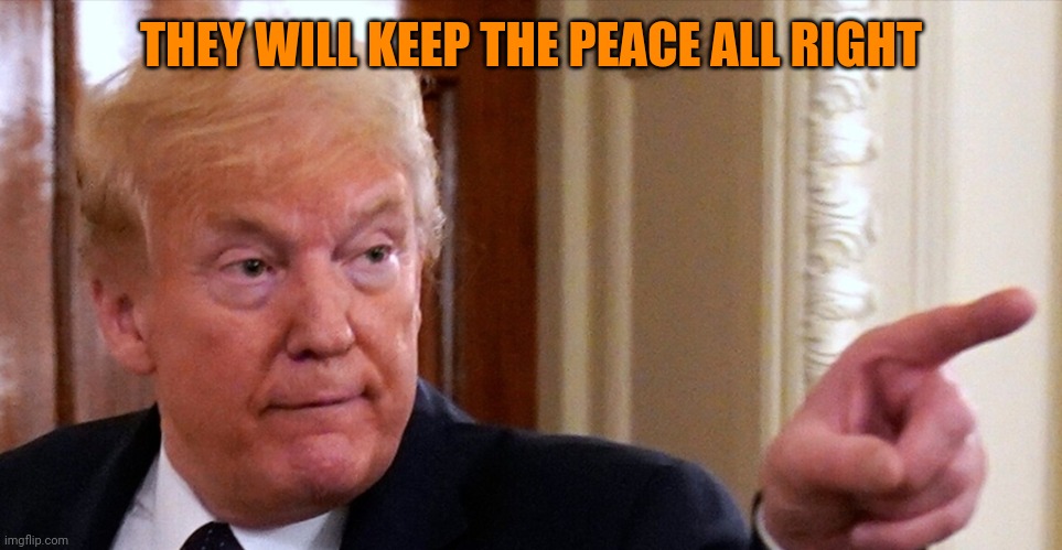 Trump pointing | THEY WILL KEEP THE PEACE ALL RIGHT | image tagged in trump pointing | made w/ Imgflip meme maker
