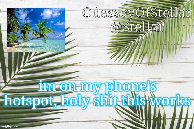 palms | im on my phone's hotspot, holy shit this works | image tagged in palms | made w/ Imgflip meme maker