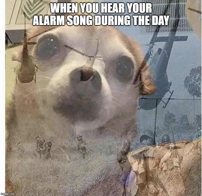 ALARM SONG DURING THE DAY | WHEN YOU HEAR YOUR ALARM SONG DURING THE DAY | image tagged in war flashback dog | made w/ Imgflip meme maker