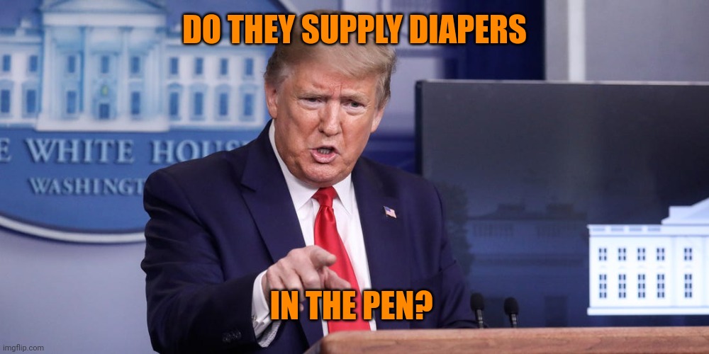 Trump Nasty Question | DO THEY SUPPLY DIAPERS IN THE PEN? | image tagged in trump nasty question | made w/ Imgflip meme maker