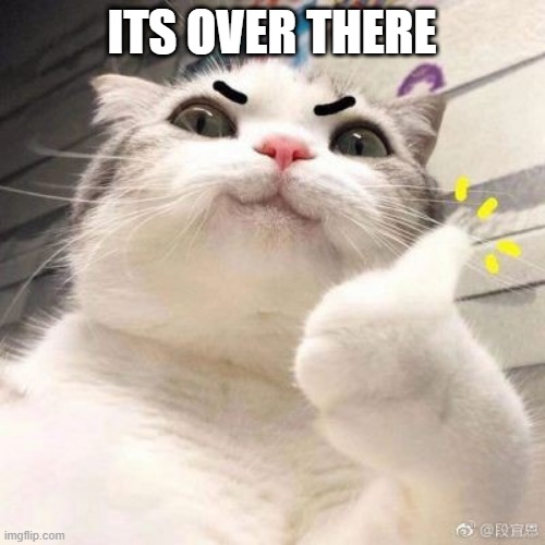 cat approved | ITS OVER THERE | image tagged in cat approved | made w/ Imgflip meme maker