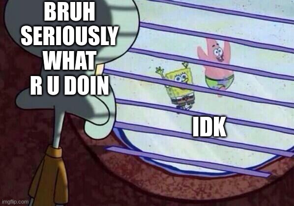 Squidward window | BRUH SERIOUSLY WHAT R U DOIN; IDK | image tagged in squidward window | made w/ Imgflip meme maker