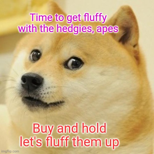 Doge Meme | Time to get fluffy with the hedgies, apes Buy and hold let's fluff them up | image tagged in memes,doge | made w/ Imgflip meme maker