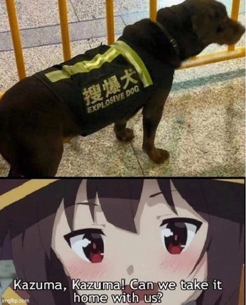 image tagged in anime,megumin,konosuba | made w/ Imgflip meme maker