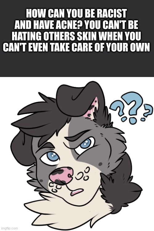 HOW CAN YOU BE RACIST AND HAVE ACNE? YOU CAN'T BE HATING OTHERS SKIN WHEN YOU CAN'T EVEN TAKE CARE OF YOUR OWN | image tagged in furry | made w/ Imgflip meme maker