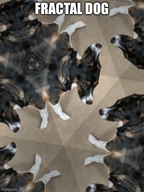 My doggo |  FRACTAL DOG | image tagged in dogs,doges | made w/ Imgflip meme maker