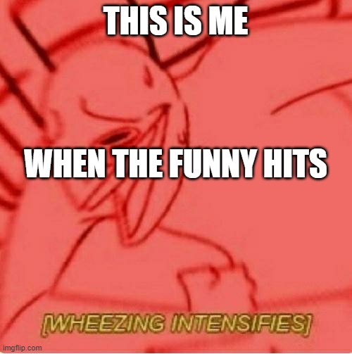 Wheeze | THIS IS ME WHEN THE FUNNY HITS | image tagged in wheeze | made w/ Imgflip meme maker