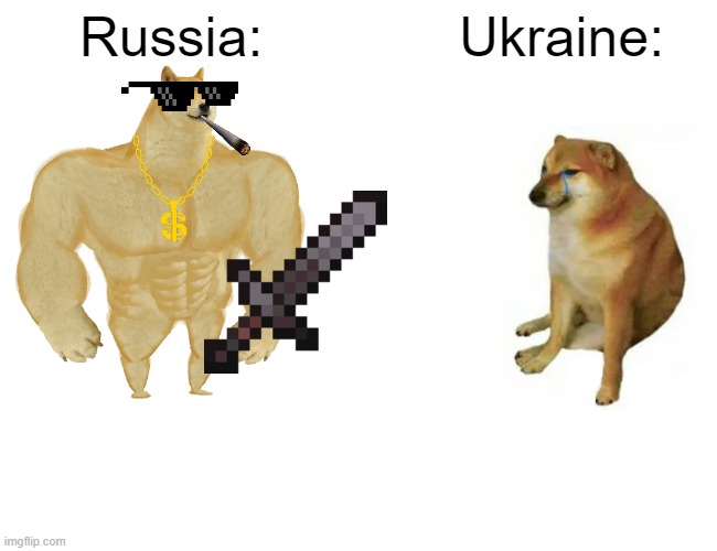 Russia VS. Ukraine | Russia:; Ukraine: | image tagged in memes,buff doge vs cheems | made w/ Imgflip meme maker
