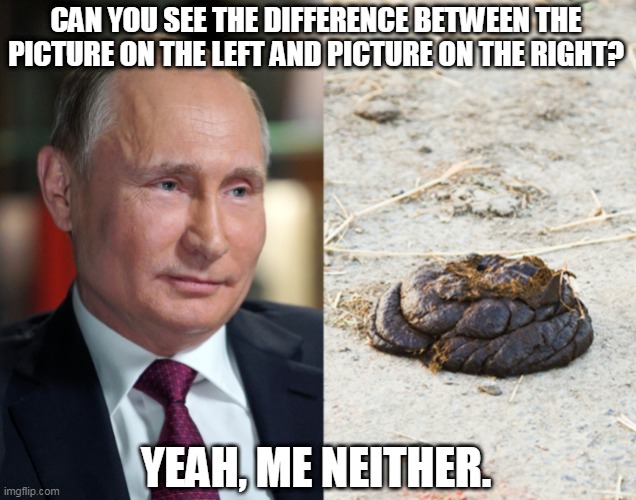 Putin piece of shit | CAN YOU SEE THE DIFFERENCE BETWEEN THE PICTURE ON THE LEFT AND PICTURE ON THE RIGHT? YEAH, ME NEITHER. | image tagged in vladimir putin,ukraine,russia,putin,shit | made w/ Imgflip meme maker