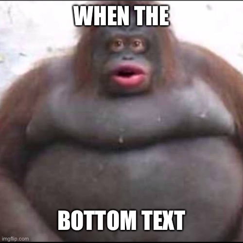 fat monkey | WHEN THE; BOTTOM TEXT | image tagged in fat monkey | made w/ Imgflip meme maker