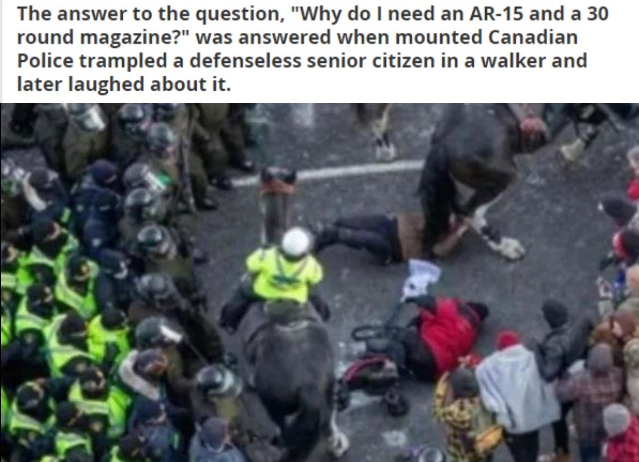 "Why do I need an AR-15 and a 30 round magazine?" | image tagged in sic semper tyrannis,tyrants,nazis,jackbooted thugs,police brutality,blackfacedhitler | made w/ Imgflip meme maker