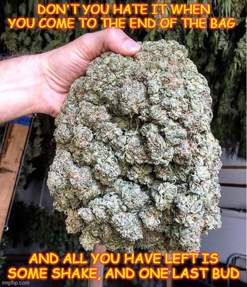 This bud is for you | DON'T YOU HATE IT WHEN YOU COME TO THE END OF THE BAG; AND ALL YOU HAVE LEFT IS SOME SHAKE, AND ONE LAST BUD | image tagged in this bud is for you | made w/ Imgflip meme maker