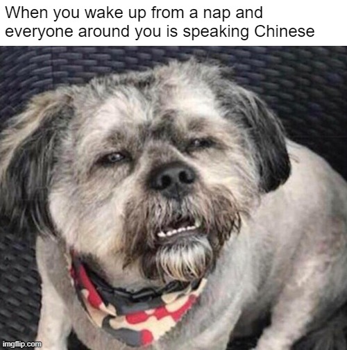 That could never happen HERE | When you wake up from a nap and everyone around you is speaking Chinese | made w/ Imgflip meme maker