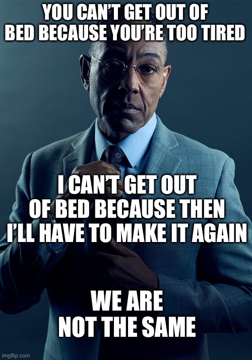 Not at all | YOU CAN’T GET OUT OF BED BECAUSE YOU’RE TOO TIRED; I CAN’T GET OUT OF BED BECAUSE THEN I’LL HAVE TO MAKE IT AGAIN; WE ARE NOT THE SAME | image tagged in gus fring we are not the same | made w/ Imgflip meme maker