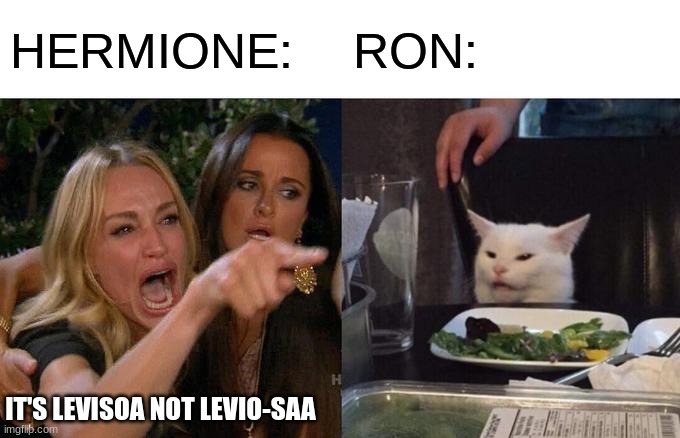 Woman Yelling At Cat Meme | HERMIONE:; RON:; IT'S LEVISOA NOT LEVIO-SAA | image tagged in memes,woman yelling at cat | made w/ Imgflip meme maker