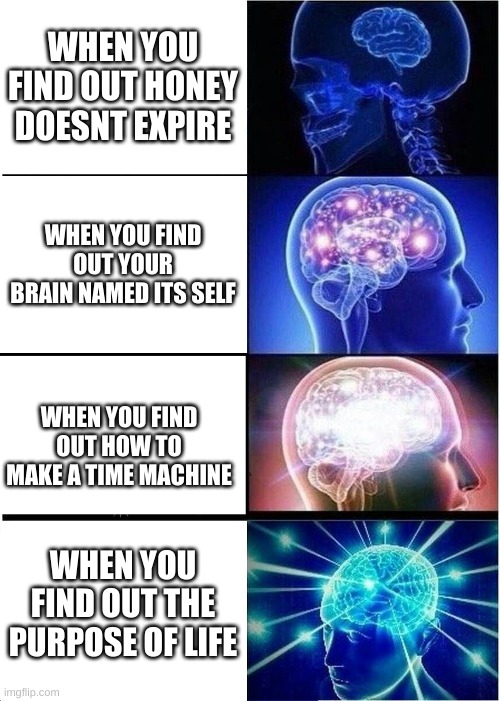 Expanding Brain | WHEN YOU FIND OUT HONEY DOESNT EXPIRE; WHEN YOU FIND OUT YOUR BRAIN NAMED ITS SELF; WHEN YOU FIND OUT HOW TO MAKE A TIME MACHINE; WHEN YOU FIND OUT THE PURPOSE OF LIFE | image tagged in memes,expanding brain | made w/ Imgflip meme maker