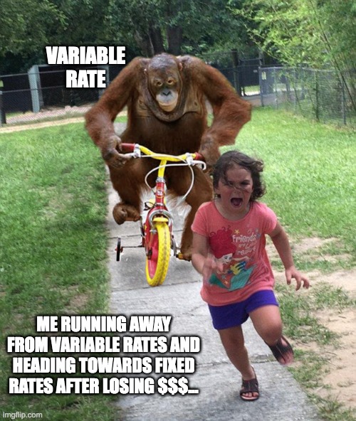 Orangutan chasing girl on a tricycle | VARIABLE RATE; ME RUNNING AWAY FROM VARIABLE RATES AND HEADING TOWARDS FIXED RATES AFTER LOSING $$$... | image tagged in orangutan chasing girl on a tricycle | made w/ Imgflip meme maker