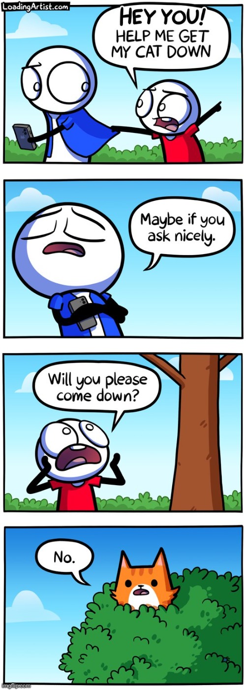 Cat up in the tree | image tagged in comics/cartoons,comics,comic,cat,cat up in the tree,tree | made w/ Imgflip meme maker