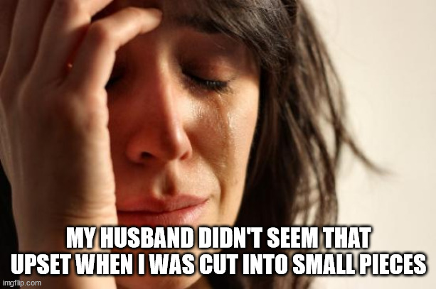 First World Problems Meme | MY HUSBAND DIDN'T SEEM THAT UPSET WHEN I WAS CUT INTO SMALL PIECES | image tagged in memes,first world problems | made w/ Imgflip meme maker