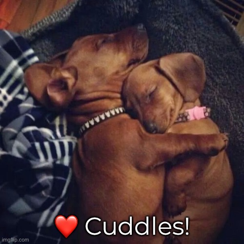 ❤️ Cuddles! | made w/ Imgflip meme maker