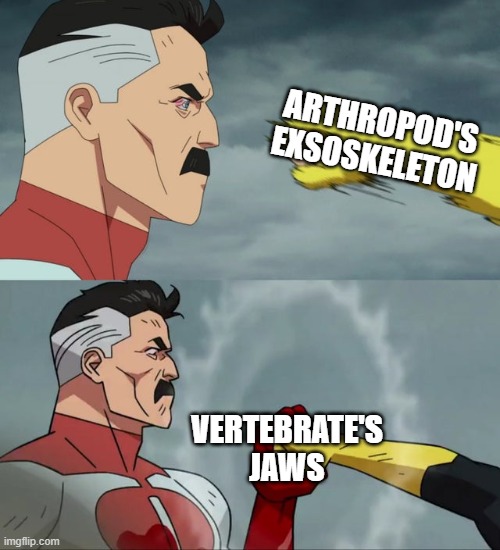 strong jaws | ARTHROPOD'S EXSOSKELETON; VERTEBRATE'S JAWS | image tagged in omni man blocks punch | made w/ Imgflip meme maker