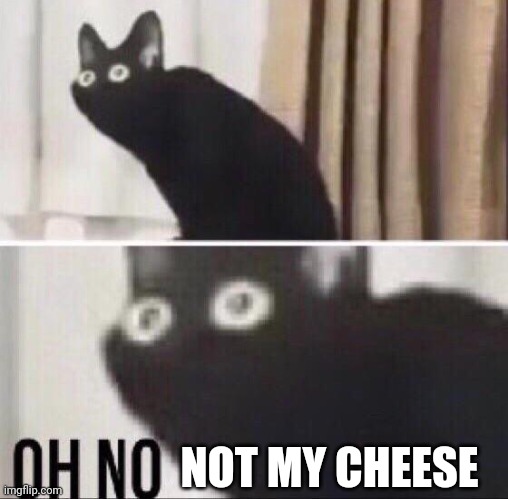 Oh no cat | NOT MY CHEESE | image tagged in oh no cat | made w/ Imgflip meme maker