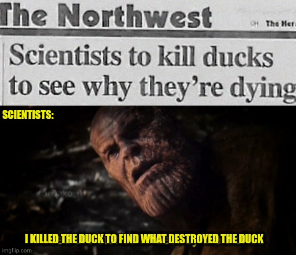 Clevor | SCIENTISTS:; I KILLED THE DUCK TO FIND WHAT DESTROYED THE DUCK | image tagged in i used the stones to destroy the stones,clever,science,headlines,iq,i see what you did there | made w/ Imgflip meme maker