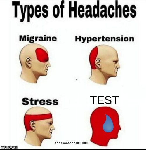 Types of Headaches meme | TEST; AAAAAAAAAAHHHHH! | image tagged in types of headaches meme | made w/ Imgflip meme maker