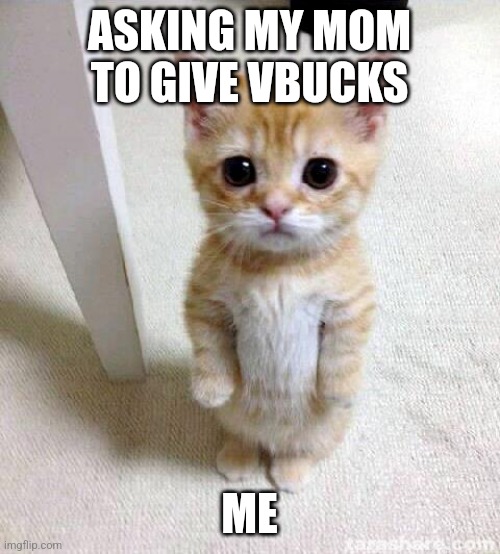 WHEN YOU NEED VBUCKS | ASKING MY MOM TO GIVE VBUCKS; ME | image tagged in memes,cute cat | made w/ Imgflip meme maker