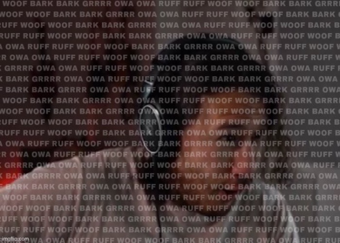 when booba | image tagged in woof bark bark grrrr owa owa ruff ruff | made w/ Imgflip meme maker