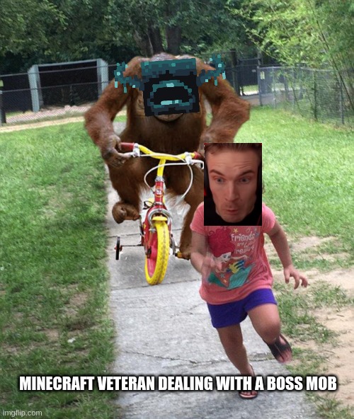 Minecraft veteral dealing with hard boss in hardcore | MINECRAFT VETERAN DEALING WITH A BOSS MOB | image tagged in orangutan chasing girl on a tricycle | made w/ Imgflip meme maker