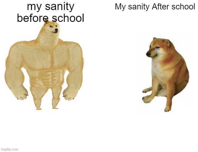 Buff Doge vs. Cheems | my sanity before school; My sanity After school | image tagged in memes,buff doge vs cheems | made w/ Imgflip meme maker