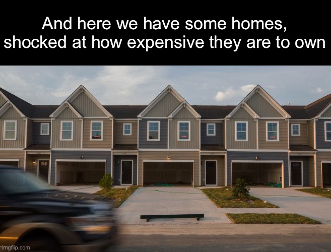 Cost of Homes These Days | And here we have some homes, shocked at how expensive they are to own | image tagged in funny memes,economy | made w/ Imgflip meme maker