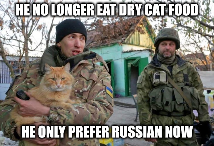 Cat only prefer Russian now | HE NO LONGER EAT DRY CAT FOOD; HE ONLY PREFER RUSSIAN NOW | image tagged in ukrainian war cat,ukraine,cat,russia,russian,ukrainian | made w/ Imgflip meme maker