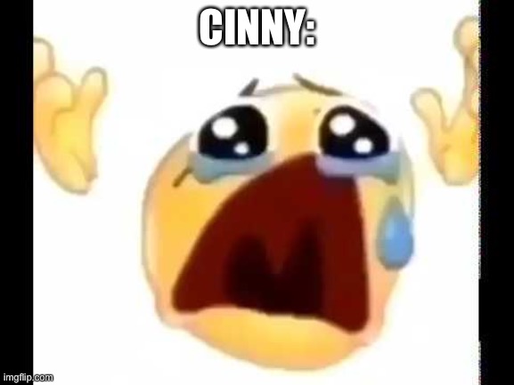 cursed crying emoji | CINNY: | image tagged in cursed crying emoji | made w/ Imgflip meme maker